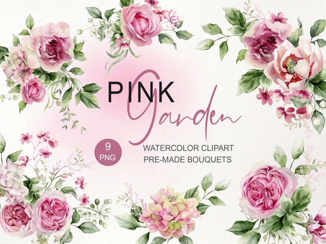 Pink Roses Clipart. Watercolor Floral Bouquet PNG. Garden Rose, Peony ...