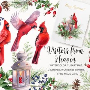 Roter Kardinal PNG. Aquarell Weihnachtsclipart, Wintervogelclipart, Weihnachtsgrün, Feiertagskarte transparenter Hintergrund. Digital