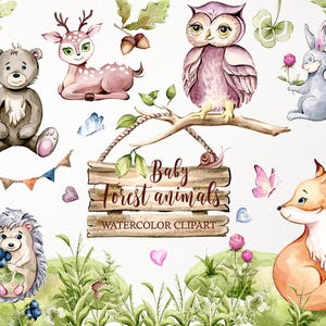 Wald Baby Waldtiere Clipart. Bär, Fuchs, Eule, Igel, Hase, Reh. Kinderzimmerdekor, Sublimationsdesign. Digitaler Download