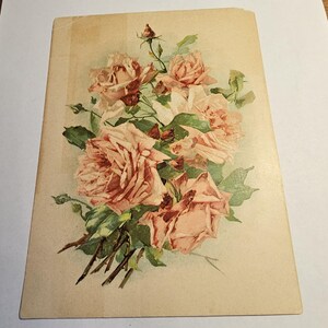 Victoriaanse Trade Card Ferndale Roasted Coffee bloemmotief Byron, Illinois var. 2
