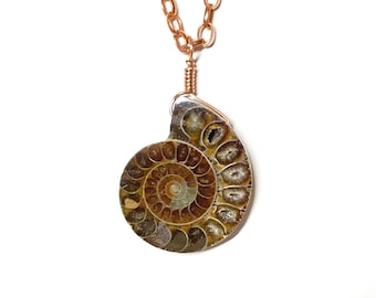 Ammonite Fossil Pendant Necklace on Solid Copper Chain, Polished Nautilus Shell, Handcrafted Artisan Jewelry, One of a Kind Gift