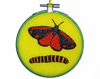 Cinnabar Moth and Larva, Entomology, Biology, Handmade, 4 Inches