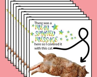 May include: A series of art prints with a whimsical cat design. The text says "There was a MEAN SPIRITED MESSAGE here so I covered it with this cat." The cat is ginger and white, shown lying on its back.