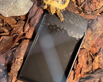 3D Printed Tortoise Water Pool: Suitable For Snails, Crabs, Tortoise.