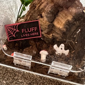 Personalised name sign for jumping spiders tank, tarantulas, inverts, amphibians, reptiles pet accessories, invert supplies, pet tank decor image 2