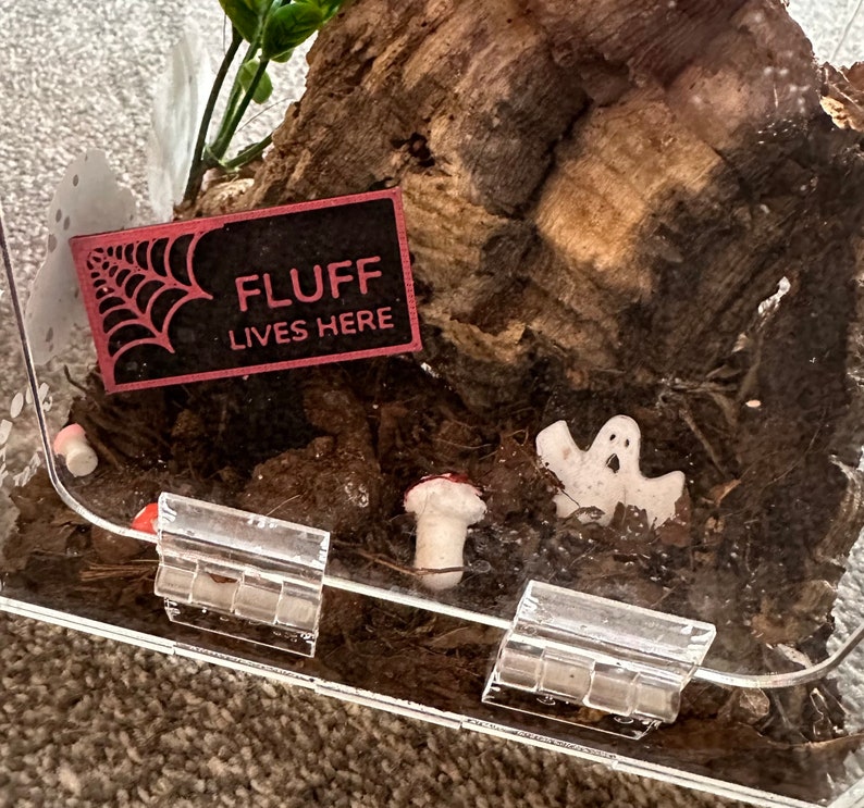 Personalised name sign for jumping spiders tank, tarantulas, inverts, amphibians, reptiles pet accessories, invert supplies, pet tank decor image 2