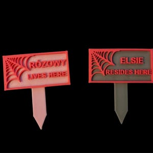 Personalised name sign for jumping spiders tank, tarantulas, inverts, amphibians, reptiles pet accessories, invert supplies, pet tank decor image 9