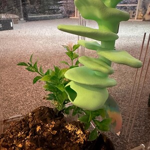 3D Printed Magnetic Mushroom Hide: Jumping Spider & Gecko Ledge