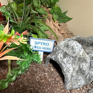 May include: A small, grey, plastic reptile hide with a blue sign that reads "Spyro Lives Here" in front of it. The hide is surrounded by artificial plants and brown soil.
