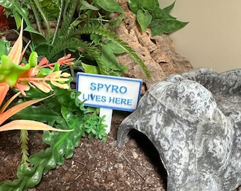 Personalized Reptile Name Sign: Snake & Gecko Tank Decor