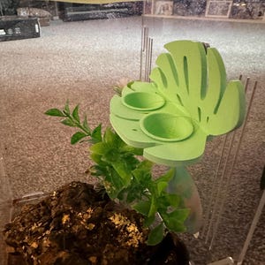 以下が含まれることがあります： 2 つの小さな緑色のボウルが付いた、緑色のプラスチック製の葉の形をした爬虫類または両生類の生息地の装飾。装飾は透明なプラスチック製のテラリウムの側面に取り付けられています。