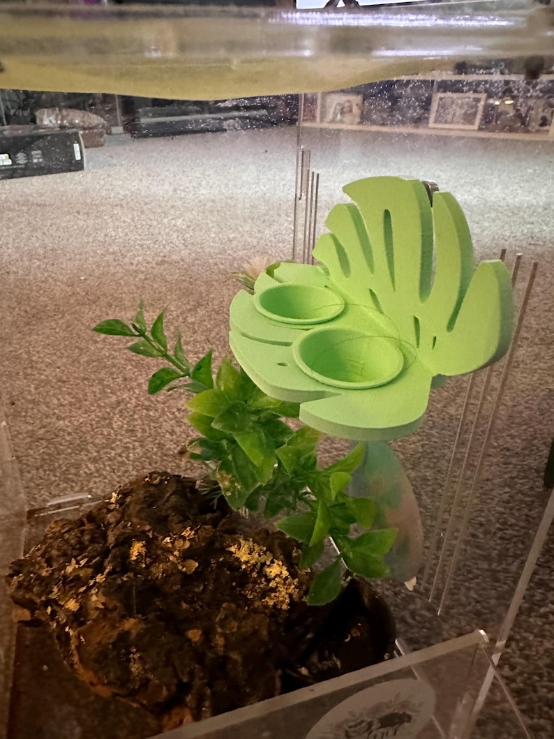 以下が含まれることがあります： 2 つの小さな緑色のボウルが付いた、緑色のプラスチック製の葉の形をした爬虫類または両生類の生息地の装飾。装飾は透明なプラスチック製のテラリウムの側面に取り付けられています。