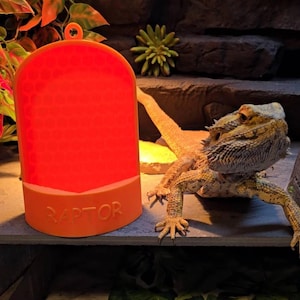 May include: A bright orange, semi-circular basking platform for reptiles featuring a honeycomb-textured surface and a small hanging loop at the top. The base of the object is clearly embossed with the word RAPTOR in capital letters.