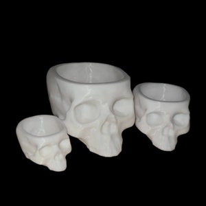 Creepy Skull Planter: Gothic Home Decor, Halloween Candy Bowl
