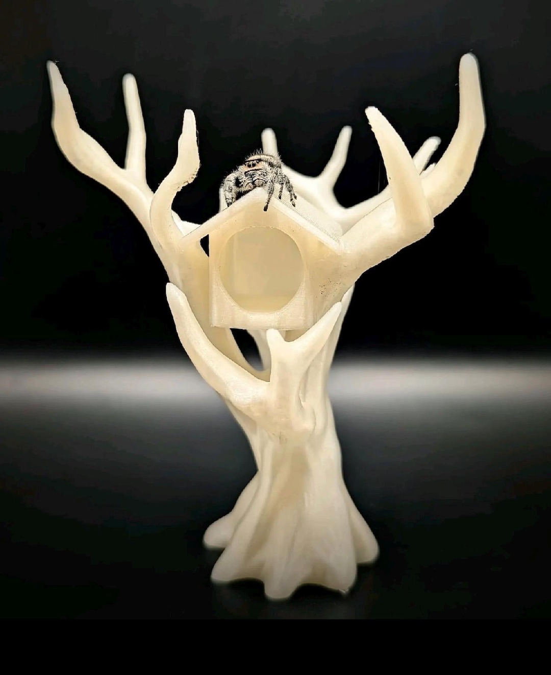 Jumping Spider Treehouse: PLA Climbing Decor, Tarantula Enclosure ...