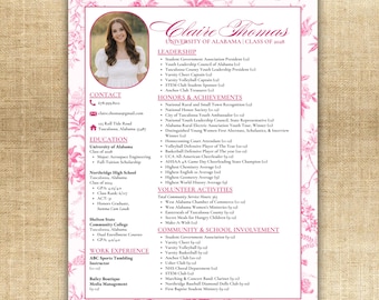 Sorority Recruitment Resume Template | Pink Chinoiserie Canva (Digital Download)