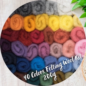 May include: A circular arrangement of 40 felted wool colors, each in a rolled shape. The color palette includes shades of gray, orange, yellow, red, purple, blue, and green. Text on the image reads "40 Colors Felting Wool Kit 200g."