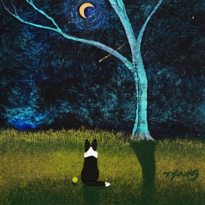Border Collie Dog Outsider Folk Art Print Todd Young BARE TREE