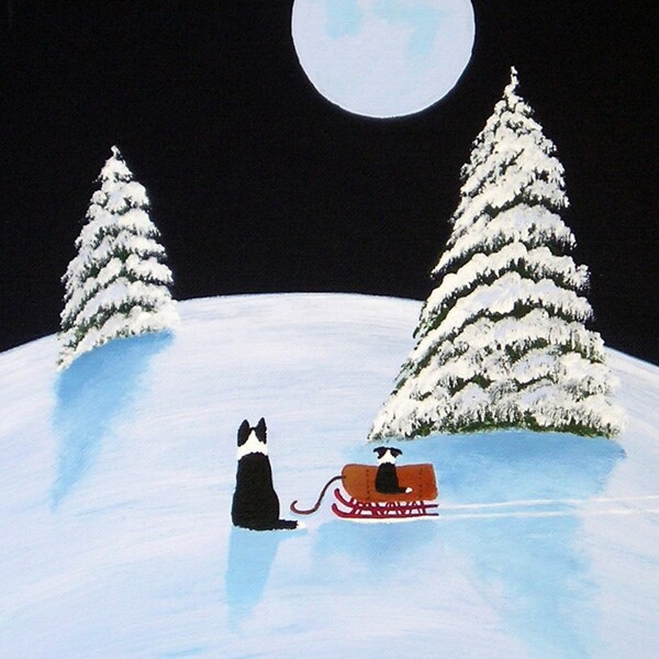 Snow Hill Border Collie Dog print by Todd Young