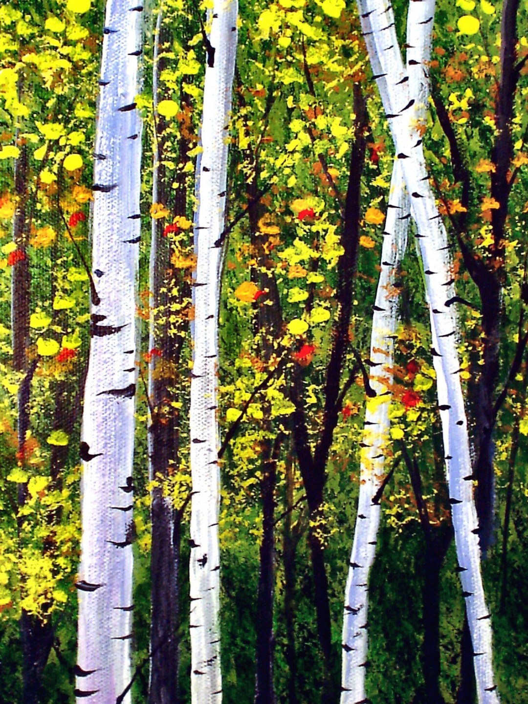 Aspen Birch Fall Autumn Forest Folk Art PRINT by Todd Young - Etsy