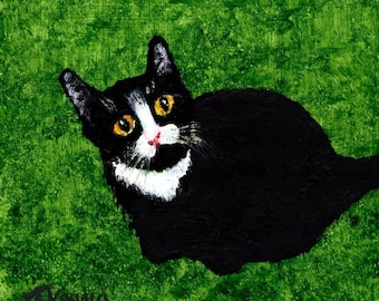 Tuxedo Cat print by Todd Young