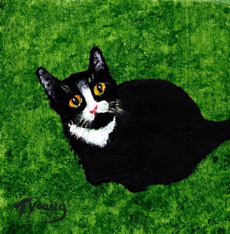 Tuxedo Cat print by Todd Young image 1