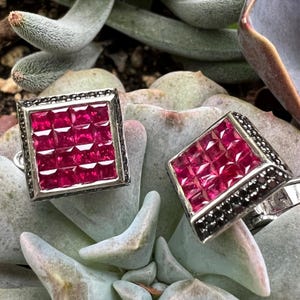 May include: A pair of square-shaped silver earrings with a cluster of vibrant red gemstones. The earrings are set with a border of small black stones, creating a striking contrast. The jewelry is displayed on a background of green and gray succulent plants.