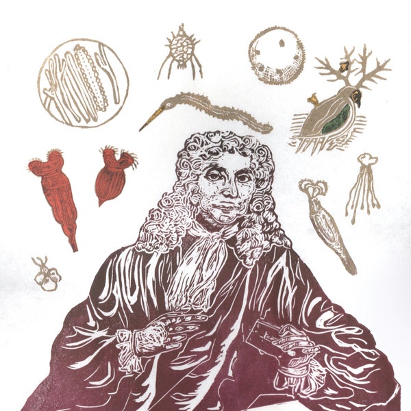 Antonie van Leeuwenhoek Portrait with his Microscope and Animacules, Lino Block Print History of Science, Microbiology