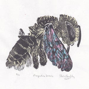 Leafcutter Bee Linocut Print: Native Bee Art on Japanese Paper