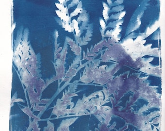 Fern Cyanotype On Watercolour Paper