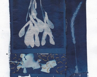 Collage of Cyanotypes of Maple Keys, Grass and Lemon Balm on Various Handmade Japanese Washi Papers