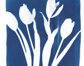 Tulips Cyanotype