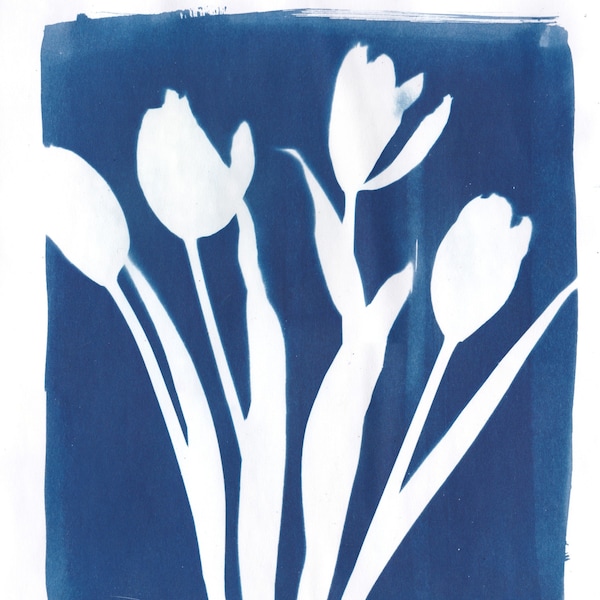 Cyanotype d'une fougère