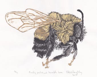 Rusty Pached Bumble Bee Linocut Print - Bombus affinis - Endangered Bumblebee Lino Block Print on Japanese Papers