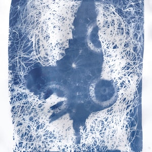 Owl in Flight Cyanotype, Fine Art Print of Flying Owl with Vintage Lace and Swirling Lines image 1