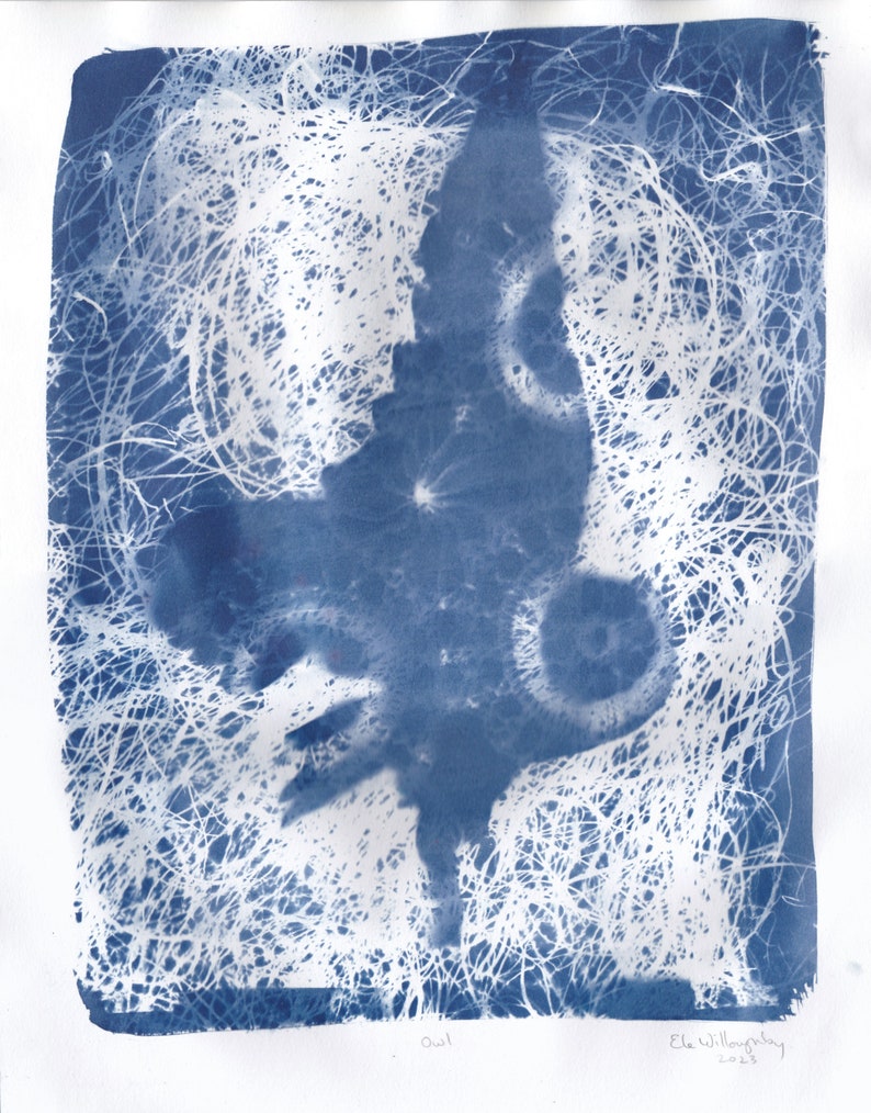 Owl in Flight Cyanotype, Fine Art Print of Flying Owl with Vintage Lace and Swirling Lines image 1