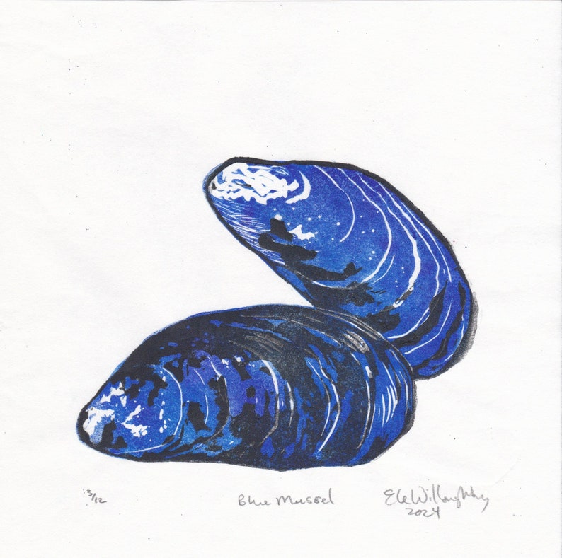 Blue Mussel lino block print, natural history hand-pulled print image 6