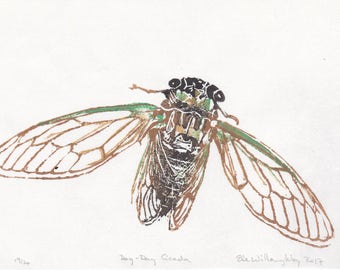 Dog-Day Cicada Linocut, Mini Lino Block Print of Tibicen canicularis, dogday harvestfly or dog-day cicada on Japanese paper