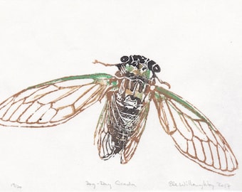 Dog-Day Cicada Linocut, Mini Lino Block Print of Tibicen canicularis, dogday harvestfly or dog-day cicada on Japanese paper