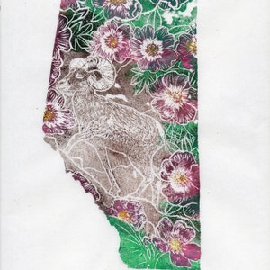 K&ouml;nnte beinhalten: Ein Druck der kanadischen Provinz Alberta mit einem Dickhornschaf in der Mitte und einem floralen Design drumherum. Der Druck ist mit "Alberta" betitelt und mit "Ele Willoughby 2013" signiert.
