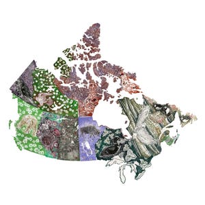 K&ouml;nnte beinhalten: Eine farbenfrohe Karte von Kanada, auf der jede Provinz und jedes Territorium mit einem anderen Muster illustriert ist, das Tiere und Pflanzen zeigt. Die Karte besteht aus einer Collage verschiedener Muster und Texturen.