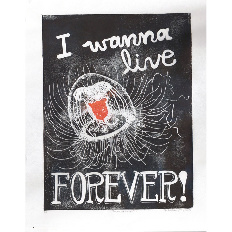 Immortal Jellyfish: I Wanna Live Forever Handprinted Lino Block Print of Turritopsis Dohrnii Medusa Called Immortal Jellyfish, Linocut image 1