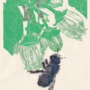 Blauer Obstgarten Mason Bee Linoldruck: Blaubeere Kunst