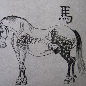 Ma, The Horse, Linocut, 7th in Chinese Zodiac, Black and White Animals of the Chinese Zodiac Lino Block Print image 2