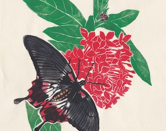 May include: A black and red butterfly with white markings is perched on a cluster of red flowers with green leaves. The text "Papilio memnon & ixora" and "Ele Willoughby 2014" is written below the butterfly.
