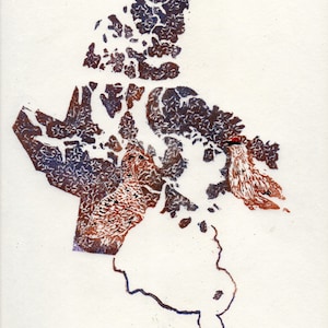 Linogravure du Nunavut avec la Saxifrage à feuilles opposées et le Lagopède alpin