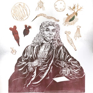 Antonie van Leeuwenhoek Portrait with his Microscope and Animacules, Lino Block Print History of Science, Microbiology image 3