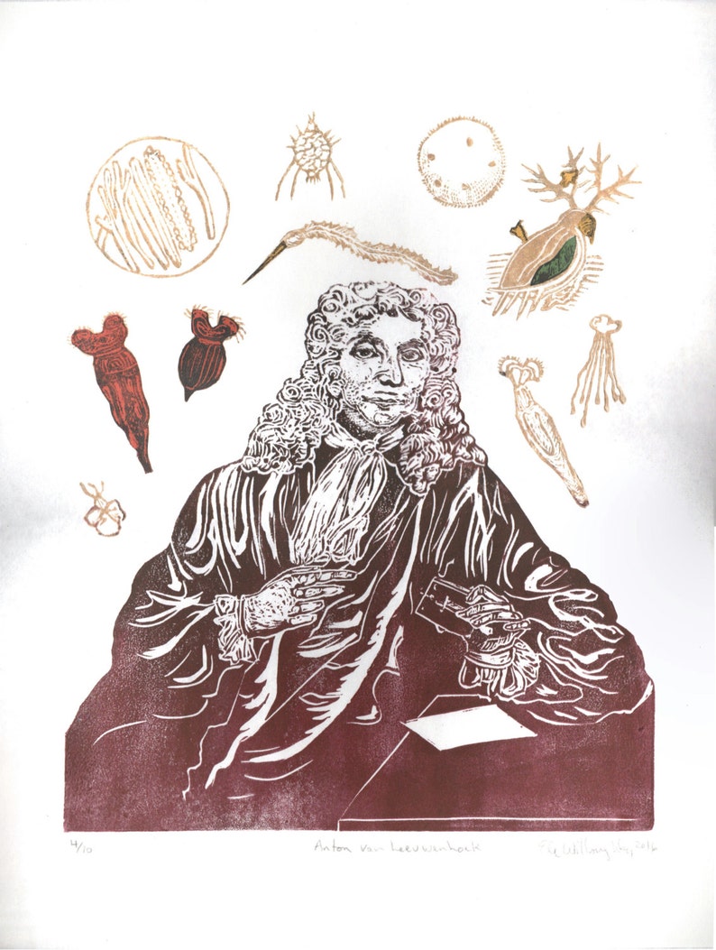 Antonie van Leeuwenhoek Portrait with his Microscope and Animacules, Lino Block Print History of Science, Microbiology image 3