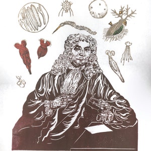 Antonie van Leeuwenhoek Portrait with his Microscope and Animacules, Lino Block Print History of Science, Microbiology image 2