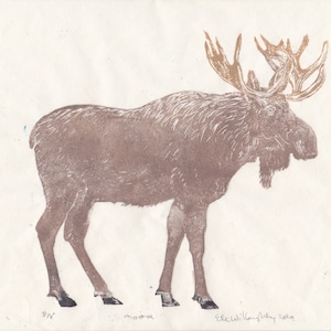 May include: A brown and gold moose print with the text "moose" and "Ele Willoughby 2020" in the bottom right corner.